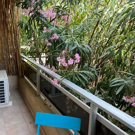 Les Magnolias 06 * Nicea